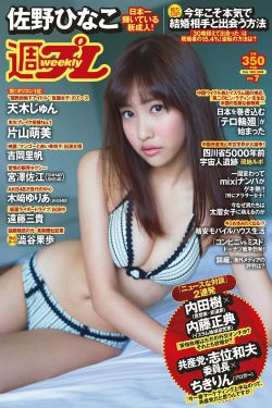 流金岁月